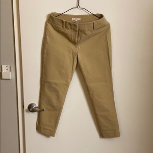 Loft pants. 9 point trousers.